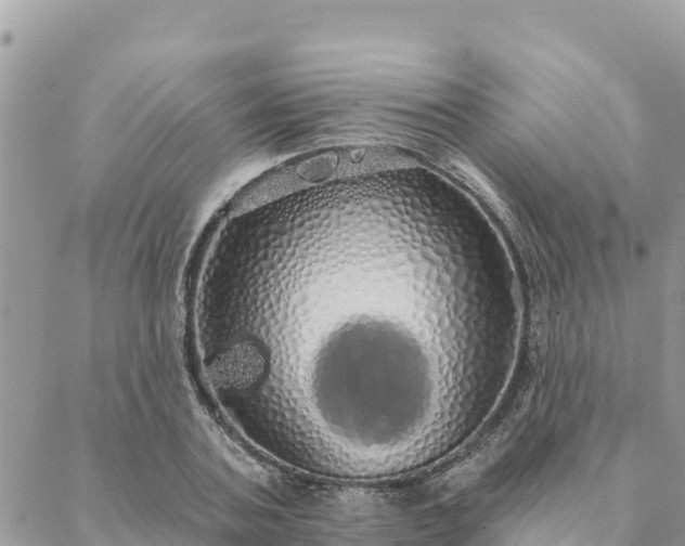 X0000088590787200706011136