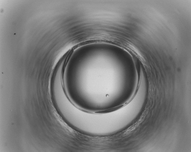 X0000088590788200706011136