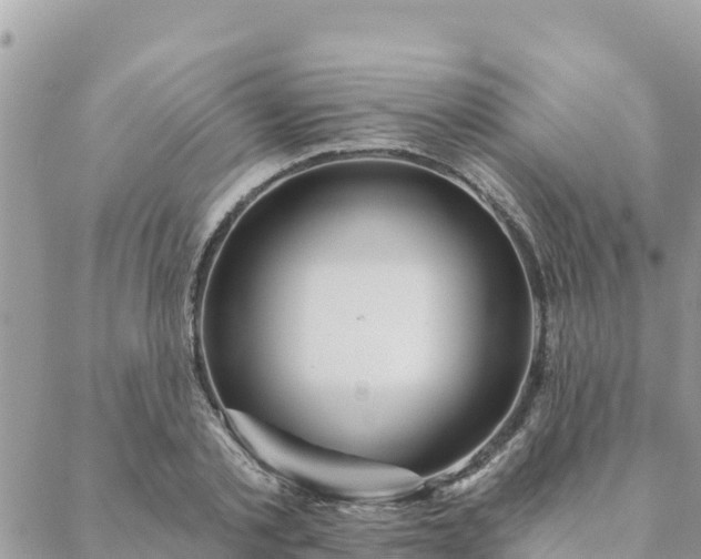 X0000088590789200706011136