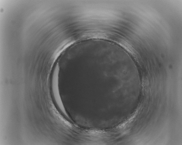 X0000088590790200706011136