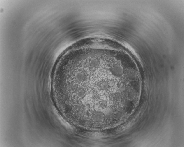 X0000088590791200706011136