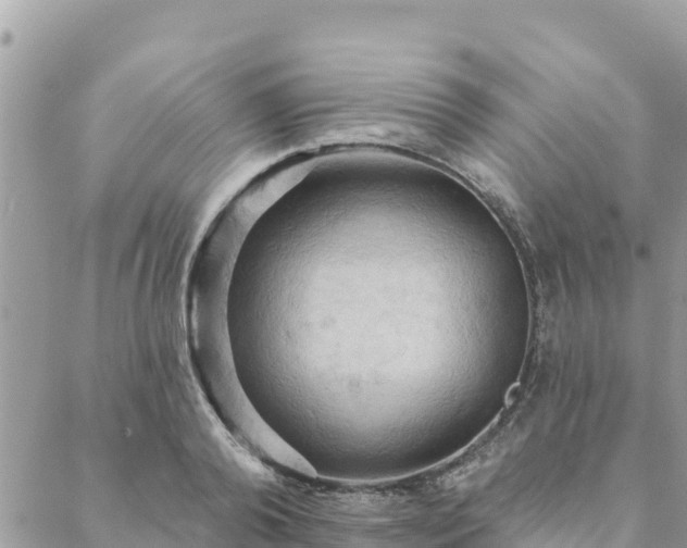 X0000088590792200706011136