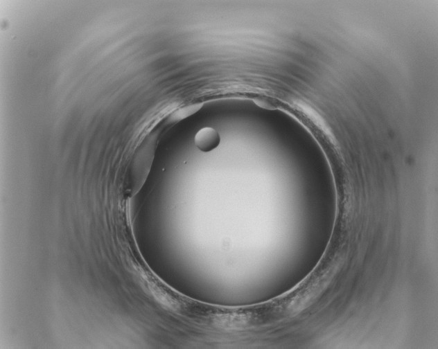 X0000088590793200706011136