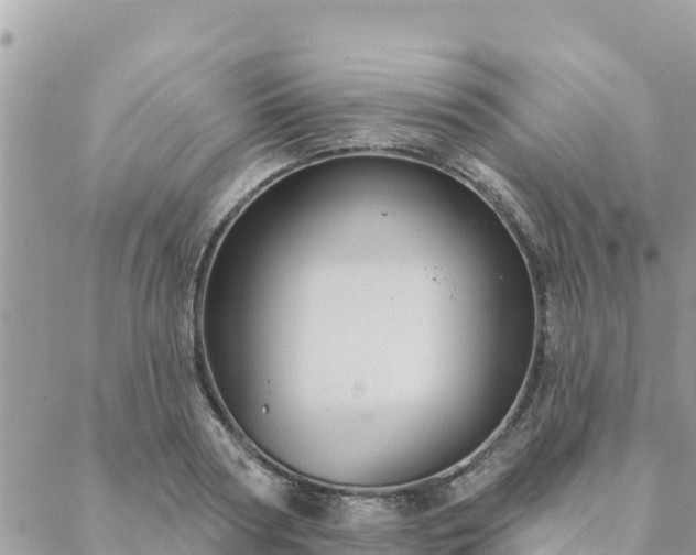 X0000088590794200706011136