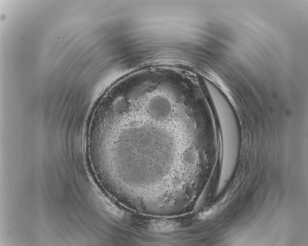 X0000088590795200706011136