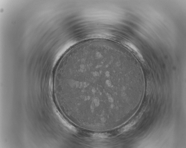 X0000088590796200706011136