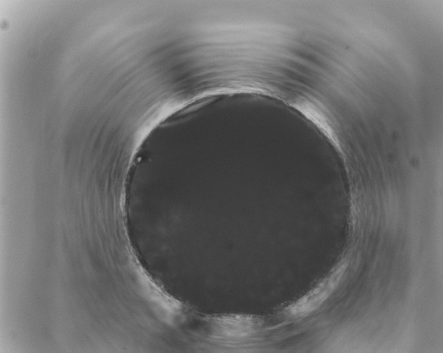 X0000088590797200706011136