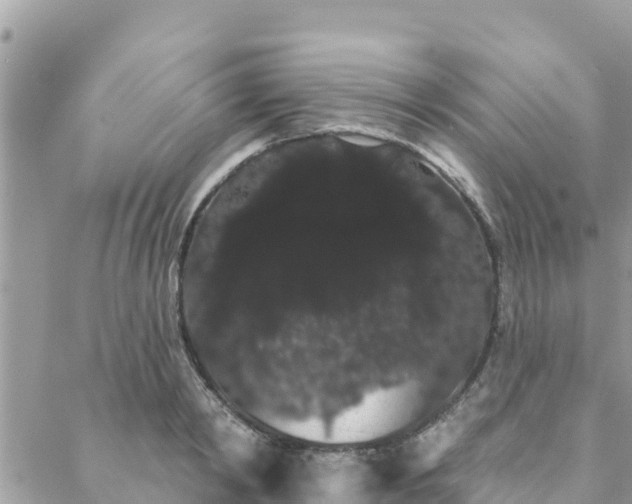 X0000088590798200706011136