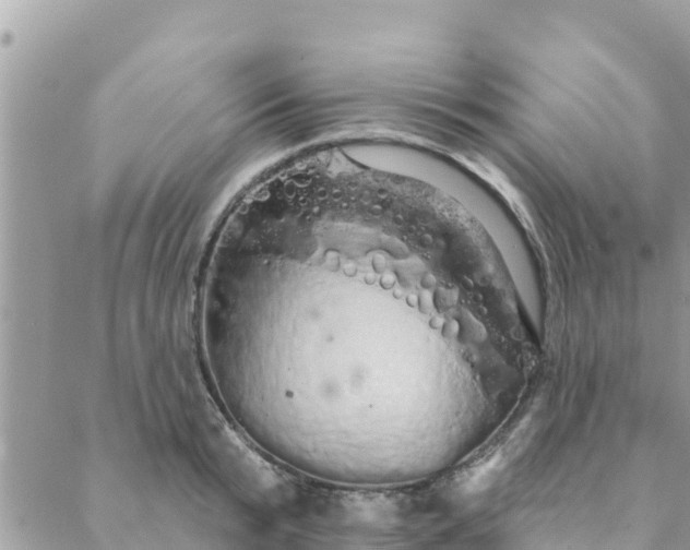 X0000088590799200706011136