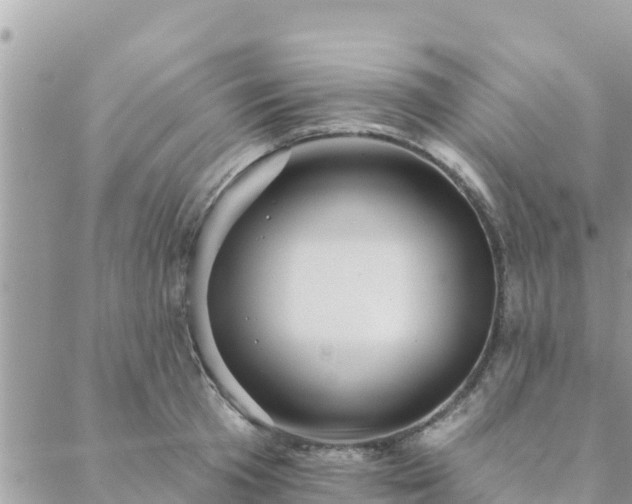 X0000088590801200706011136