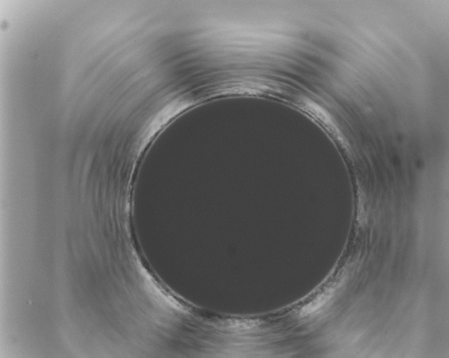 X0000088590802200706011136