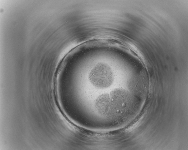 X0000088590803200706011136