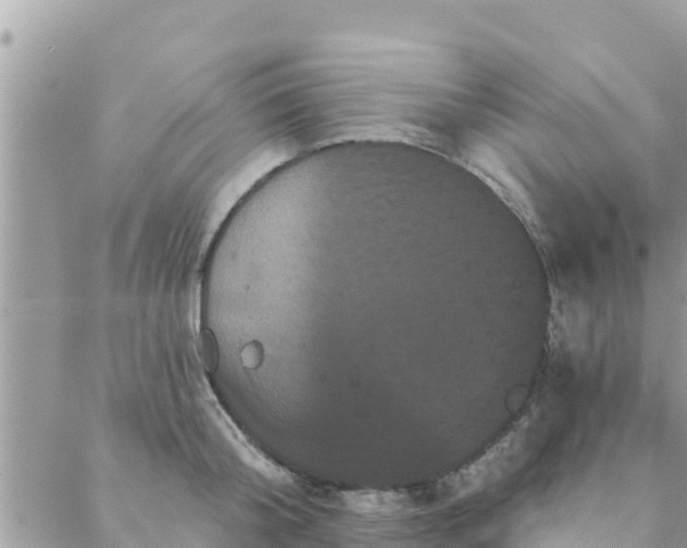 X0000088590804200706011136