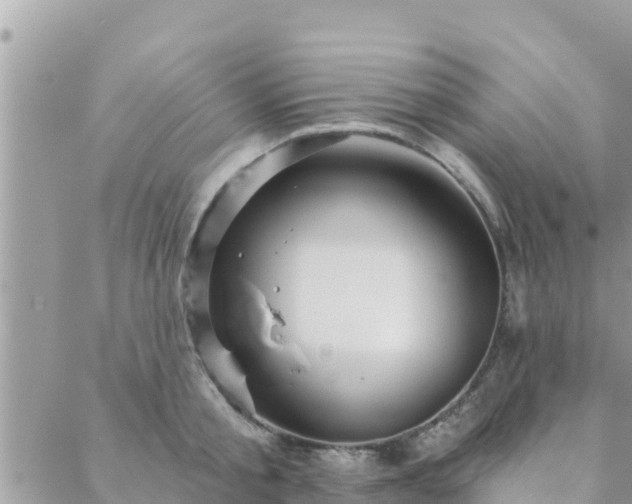 X0000088590805200706011136