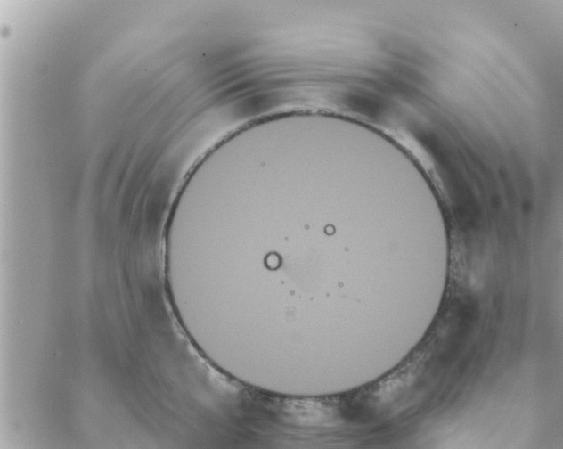 X0000088590807200706011136