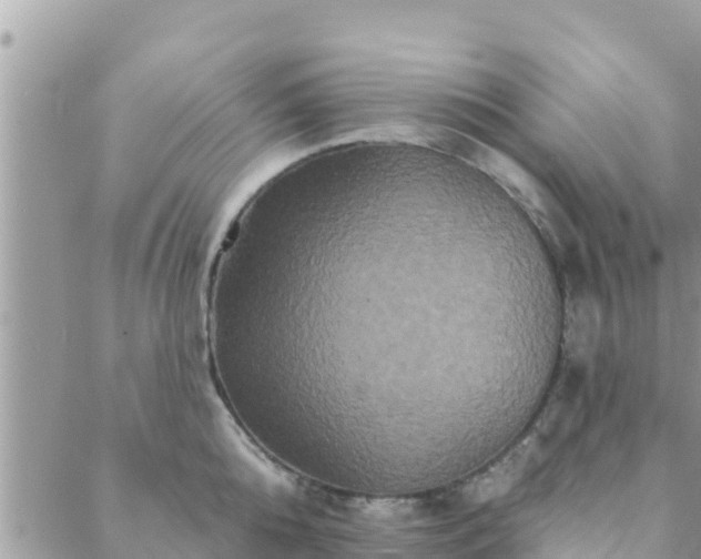 X0000088590808200706011136