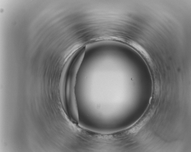 X0000088590809200706011136