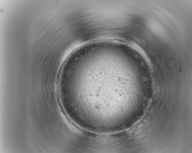 X0000088590811200706011136