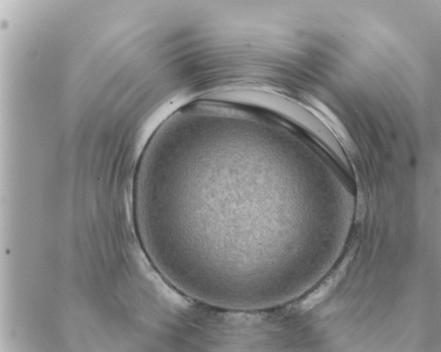 X0000088590812200706011136