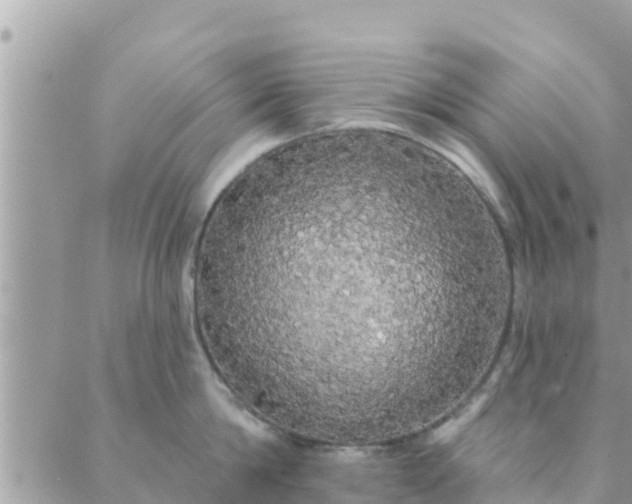 X0000088590814200706011136