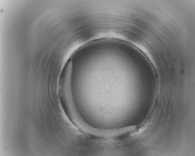 X0000088590815200706011136