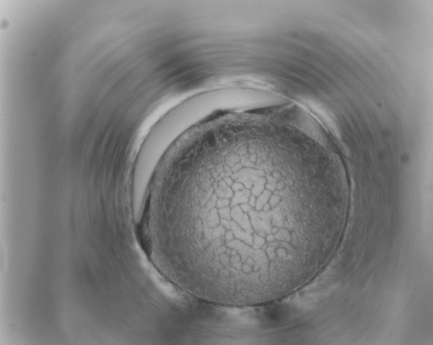 X0000088590816200706011136