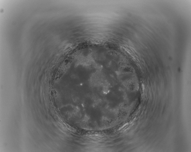 X0000088590817200706011135