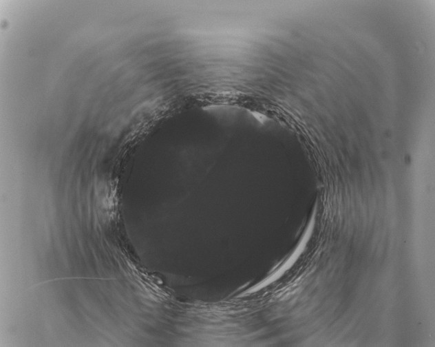 X0000088590818200706011135