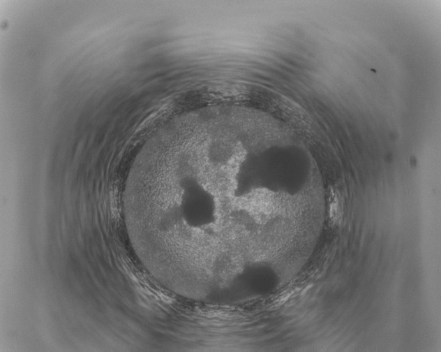 X0000088590819200706011135