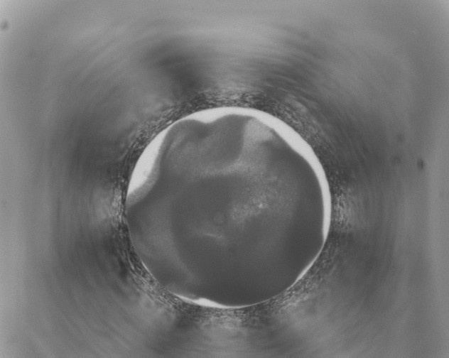 X0000088590820200706011135