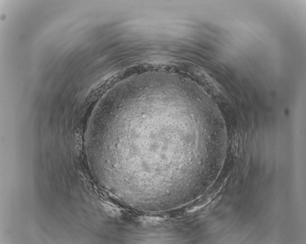 X0000088590821200706011135