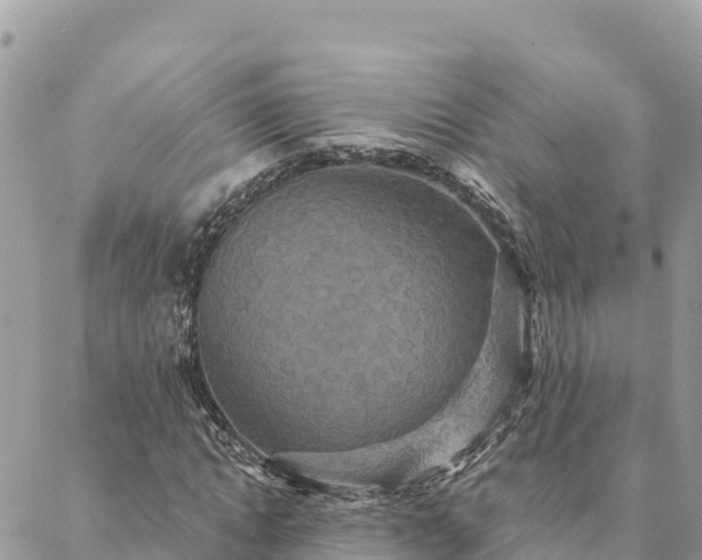 X0000088590822200706011135