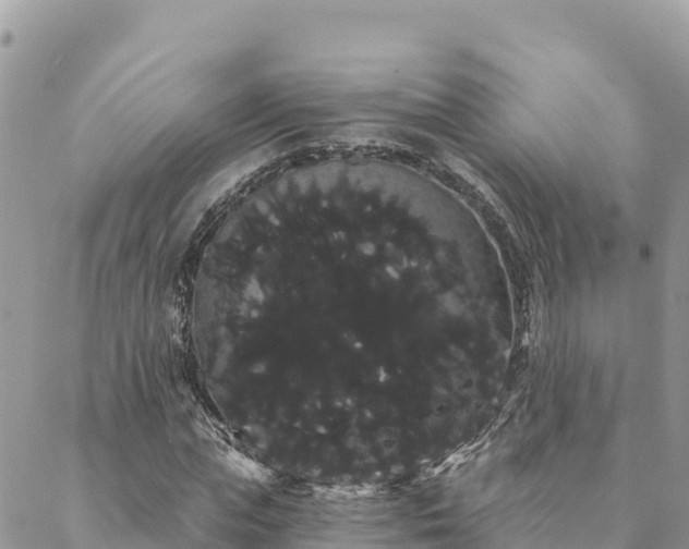 X0000088590823200706011135