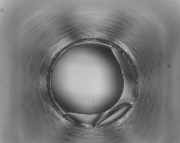 X0000088590826200706011135