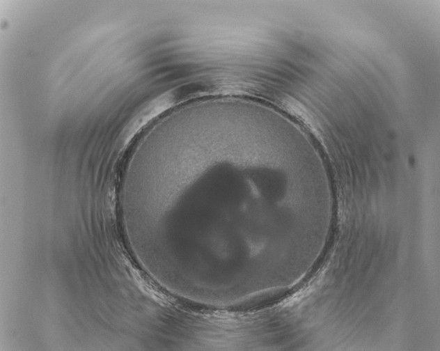 X0000088590827200706011135