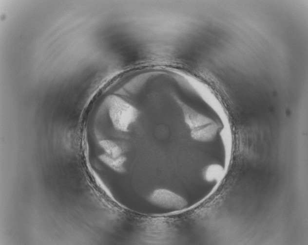 X0000088590828200706011135