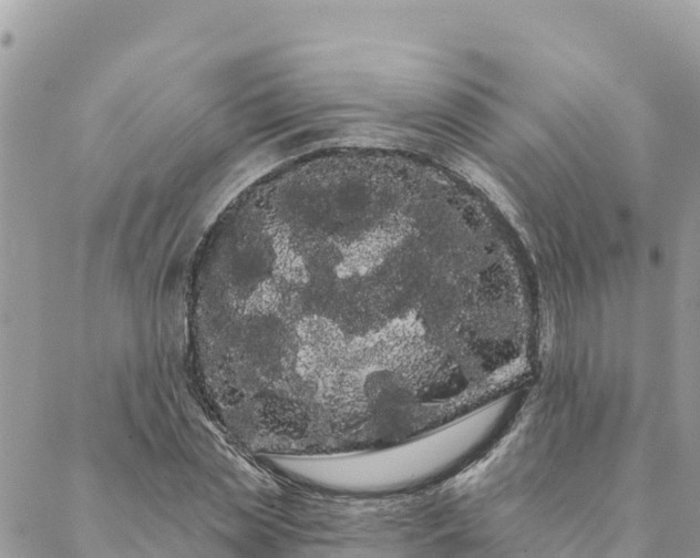 X0000088590829200706011135