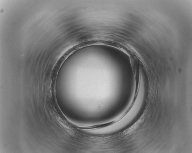 X0000088590830200706011135