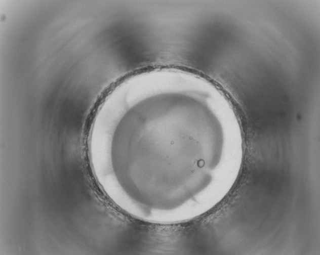 X0000088590832200706011135