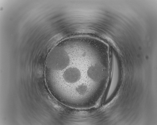 X0000088590833200706011135