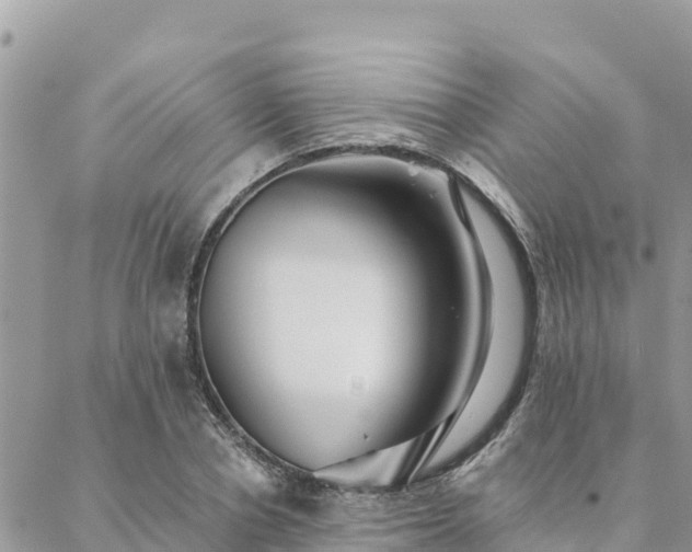 X0000088590834200706011135