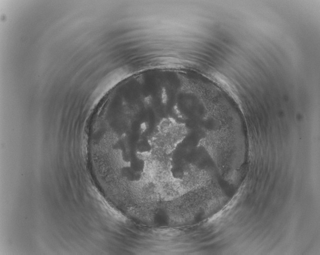 X0000088590835200706011135