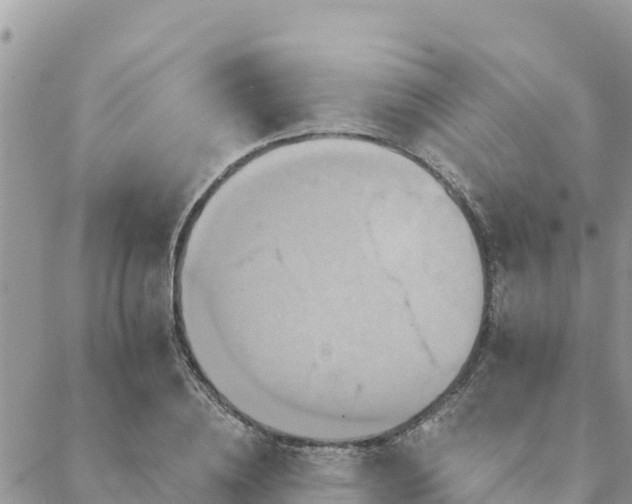 X0000088590836200706011135