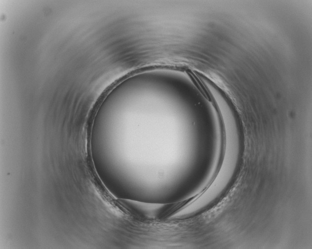 X0000088590838200706011135