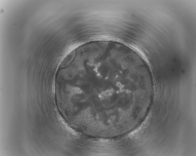 X0000088590839200706011136