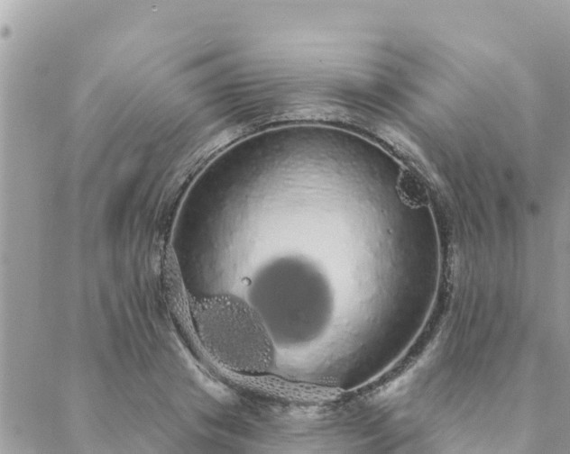 X0000088590841200706011136