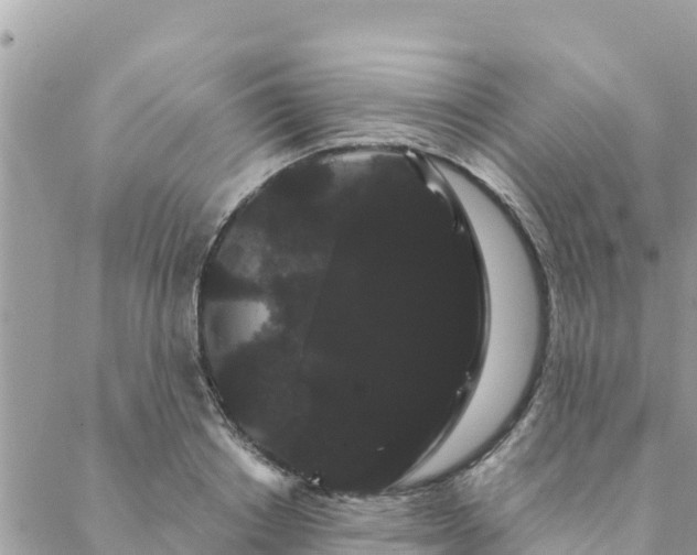 X0000088590842200706011136