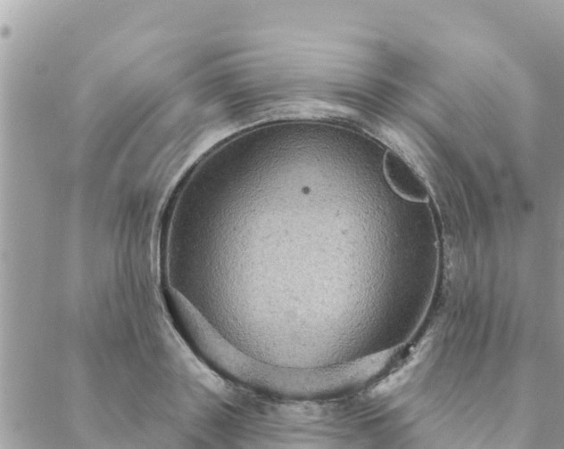 X0000088590843200706011136