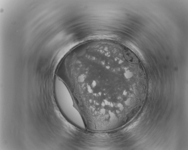 X0000088590844200706011136