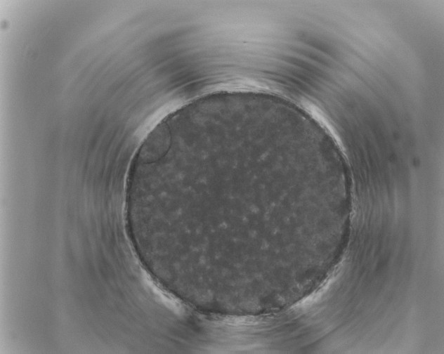 X0000088590845200706011136